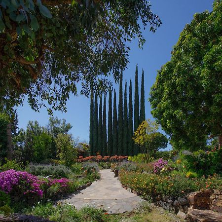 Quinta Maria en la Ruta del Vino Bed and Breakfast Valle de Guadalupe Exterior foto