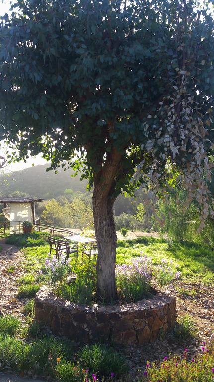 Quinta Maria en la Ruta del Vino Bed and Breakfast Valle de Guadalupe Exterior foto